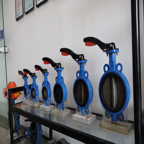 Katalog katup kupu -kupu konsentris